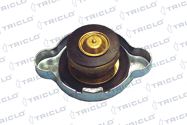 Buson radiator (0,9bar) potrivit MERCEDES 124 T-MODEL (S124), 124 (W124), E (A124); ACURA LEGEND II; ALFA ROMEO 145, 146, 155, 164, 75, 90, SPIDER; CHEVROLET ALERO 0.5-5.0 [2]