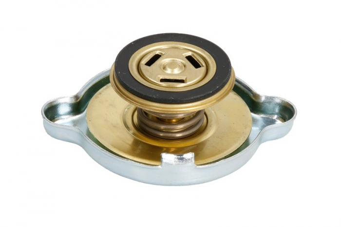 Buson radiator (1bar) mic potrivit IVECO TURBOSTAR, TURBOTECH 8210.42.061-8460.41.102 07.84-12.93 [2]