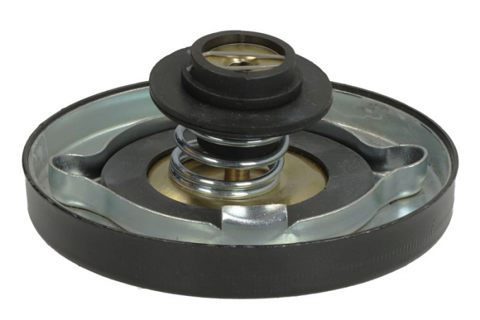 Buson radiator potrivit CASE IH 4000; DAVID maro 1000, 700, 800, 900; FIAT 200, 400, 4000, 500, 55-XX, 6000, 7000; FIATAGRI 400; FORD 200, 2000, 300, 3000 175DF-KT1150C [2]