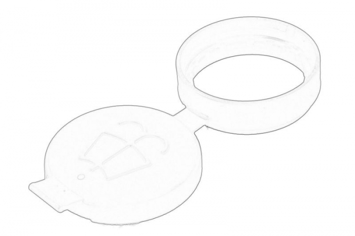 Buson rezervor lichid spalator potrivit PEUGEOT BOXER 04.06- [1]