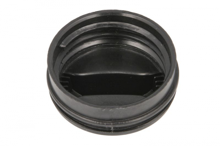 Buson rezervor lichid spalator potrivit SCANIA G II, L, P II, R II, S DC07.108-OC13.101 09.16- [2]