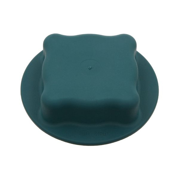 Buson vas expansiune (0,5bar, verde) potrivit VOLVO 7700, 8700, 8900, B10, B12, B6, B7, F6, F7, FL, FL10, FL6, FL7, FLC, N10, N12, NL D10A310-THD103KF dupa 1973 [3]