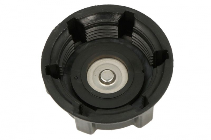 Buson vas expansiune (model nou) potrivit SCANIA 4, G I, P I, R I, T DC09.108-OC9.G04 05.95-05.19 [2]
