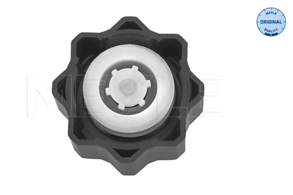 Buson vas expansiune potrivit CITROEN BERLINGO, BERLINGO MULTISPACE, BERLINGO/MINIVAN, C1, C1 II, C2, C3 I, C3 II, C3 PICASSO, C3 PLURIEL, C4, C4 CACTUS 1.0-Electric dupa 1995 [4]