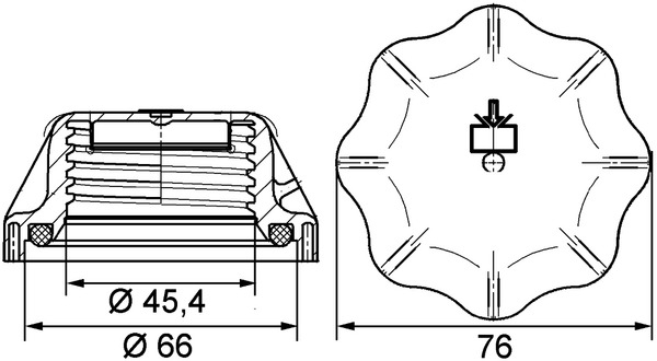 Buson vas expansiune potrivit IVECO STRALIS I, TRAKKER I; MAN E2000, LION'S STAR, TGM I, TGS I, TGX I; MERCEDES ACTROS, ACTROS MP2 / MP3 4045-OM936.916 dupa 1984 [4]