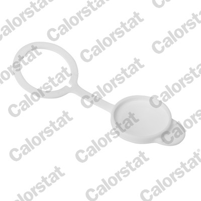 Buson vas expansiune potrivit MITSUBISHI ASX, COLT CZC VI, COLT VI, GALANT IX, LANCER VIII, OUTLANDER II, OUTLANDER III; SUBARU BRZ, FORESTER, IMPREZA, LEGACY II, LEGACY III 1.1-3.6 dupa 1994 [2]