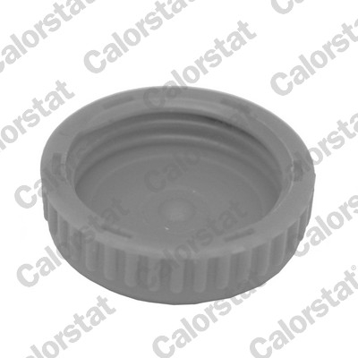 Buson vas expansiune potrivit NISSAN ALMERA II, PRIMERA 1.5-2.2D dupa 2000 [4]