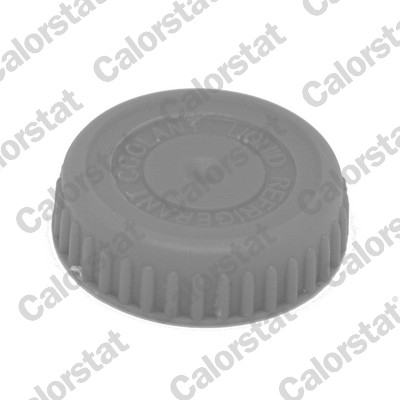 Buson vas expansiune potrivit NISSAN ALMERA II, PRIMERA 1.5-2.2D dupa 2000 [3]