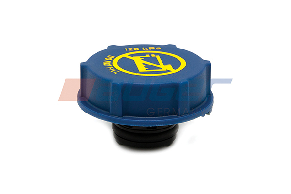 Buson vas expansiune potrivit RVI C, K, T; VOLVO 7900, 8900, 9700, 9900, B11, FH II, FH16 II D11A-370-DXi13520 09.11-