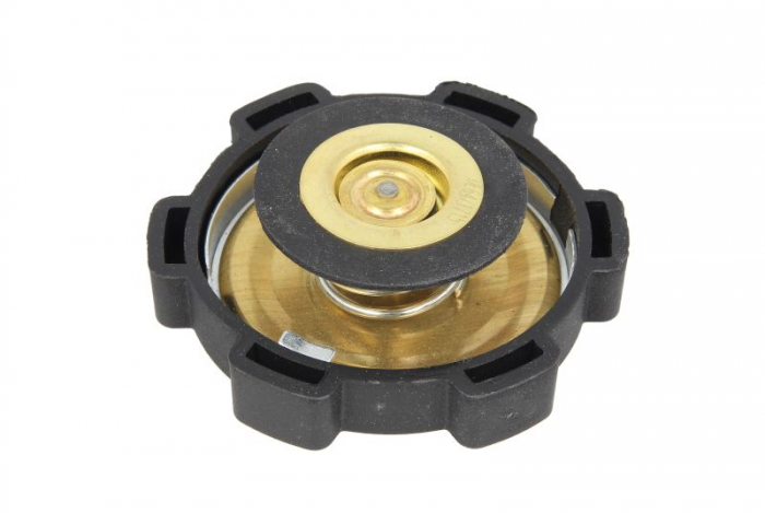 Buson vas expansiune potrivit SCANIA 3 DS11.34-DTC11.02 03.88-12.96 [2]