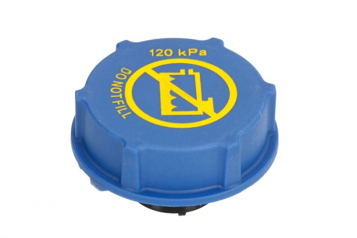 Buson vas expansiune potrivit VOLVO FH II, FM, FM II D11A430-D13K540 09.05-