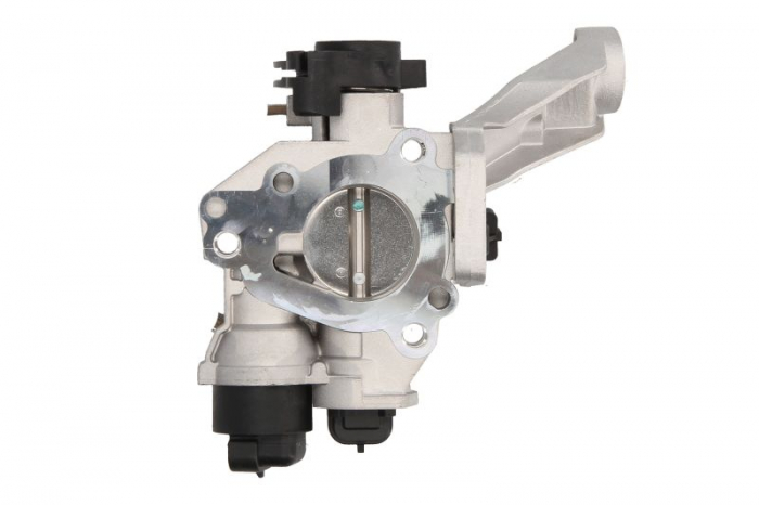 Clapeta control admisie aer RENAULT CLIO II, CLIO III, KANGOO, TWINGO I 1.2 dupa 1997 [4]