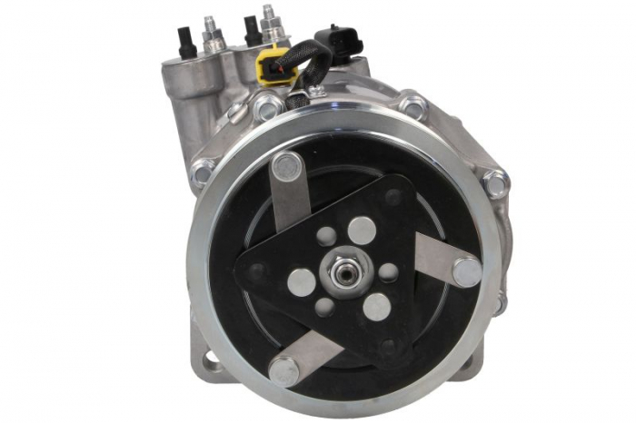Compresor climatizare potrivit CITROEN C5 III, C6; PEUGEOT 407, 607 2.7D/3.0/3.0D 02.00- [2]