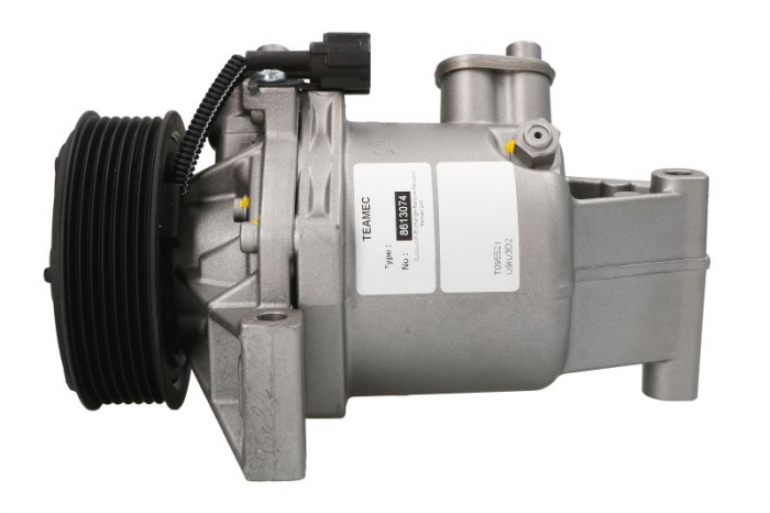 Compresor climatizare potrivit NISSAN JUKE 1.6 06.10-12.19