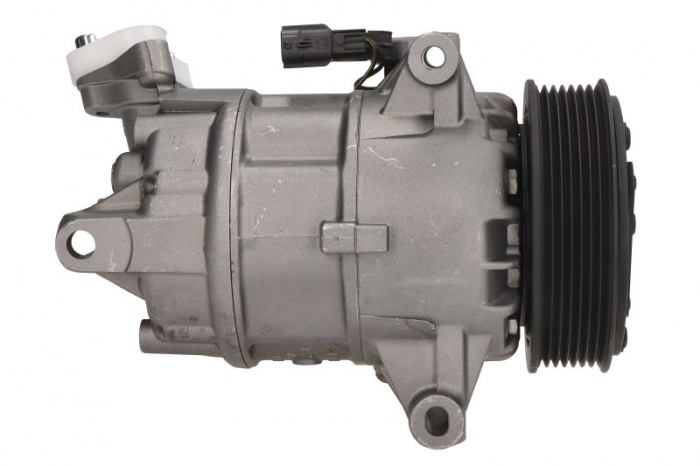 Compresor climatizare potrivit NISSAN QASHQAI I 1.6/1.6LPG 02.07-12.13 [4]