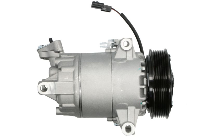Compresor climatizare potrivit NISSAN QASHQAI I; RENAULT CLIO III, MEGANE II 2.0 08.03- [4]