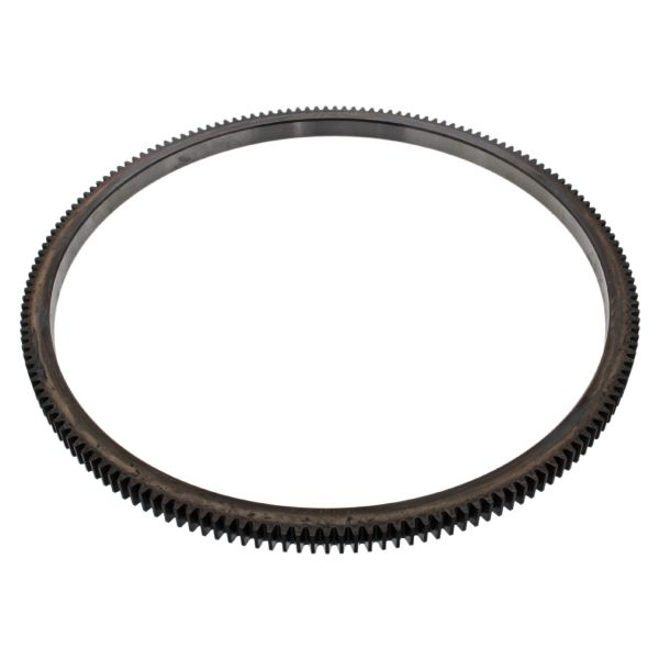 Coroana volanta 167buc; diametru460mm; inaltime 22mm potrivit DAF CF, CF 85, XF 105, XF 95 1DB2022-1NA06-XF355M 01.01- [2]