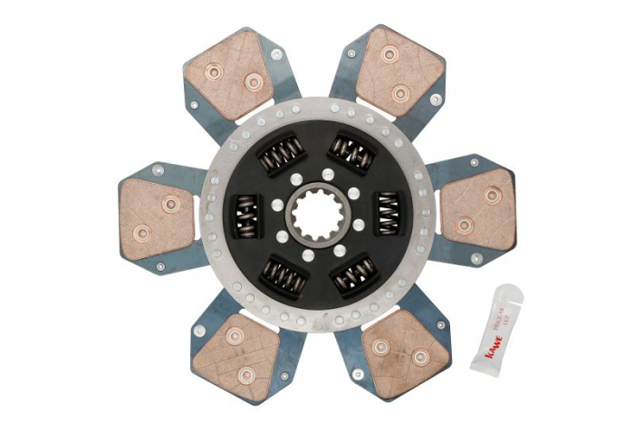 Disc ambreiaj (310mm; 5) potrivit MASSEY FERGUSON 3000 1006-6T7-33DTA 01.92- [2]