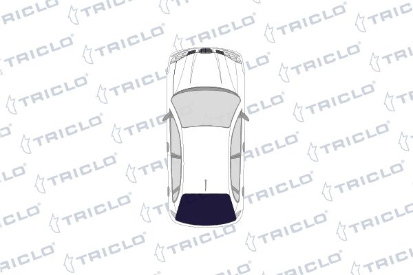 Diuza spalator parbriz Dreapta/Stanga potrivit DACIA DUSTER, DUSTER/SUV, SANDERO; RENAULT DUSTER, MEGANE SCÉNIC, SANDERO/STEPWAY I, SCENIC I 10.96- [4]