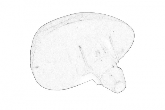 Diuza spalator parbriz stanga/dreapta potrivit RENAULT potrivit DACIA DUSTER, DUSTER/SUV, LOGAN II, LOGAN MCV II, SANDERO II; RENAULT CAPTUR I, DUSTER, LOGAN II, LOGAN/STEPWAY II, SANDERO/STEPWAY II 1 [3]