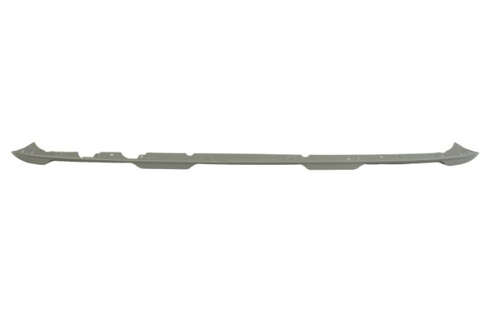 Elemente bara spate (argintiu) potrivit RENAULT KANGOO III Van 01.21- [2]