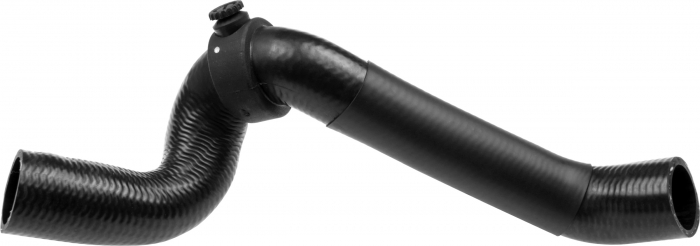 Furtun radiator (31mm 31mm) potrivit RENAULT MEGANE I 1.4 1.6 03.99-08.03