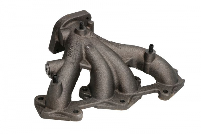 Galerie evacuare potrivit RENAULT CLIO II, KANGOO, KANGOO EXPRESS, KOLEOS II, MEGANE I, MEGANE I CLASSIC, MEGANE I COACH, MEGANE SCENIC, RAPID/MINIVAN 1.4/1.6/2.0D 09.91- [6]