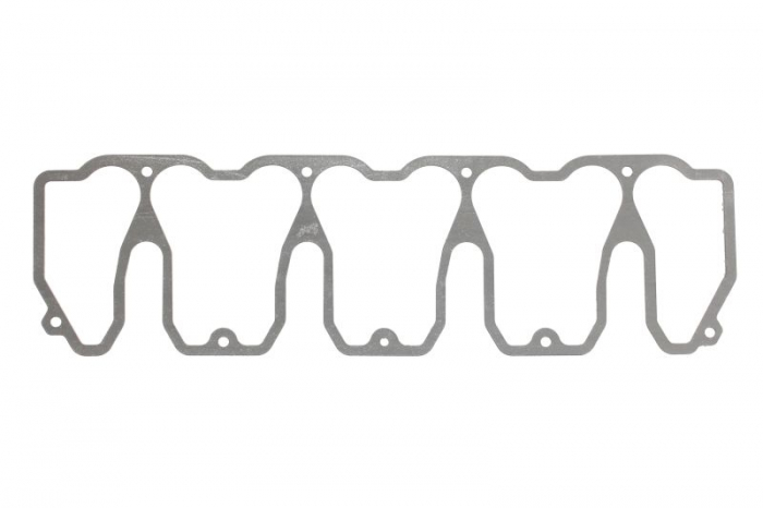 Garnitura capac supape potrivit DEUTZ BF4M1012 [1]