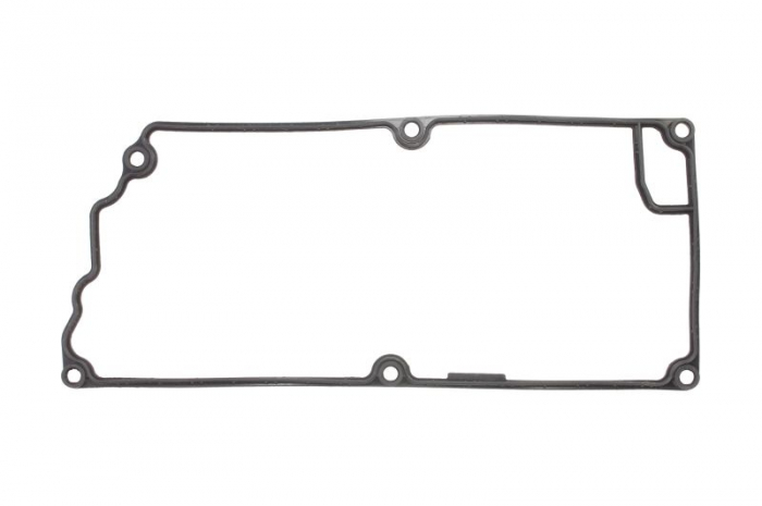 Garnitura capac supape potrivit JCB 444; TIER 3