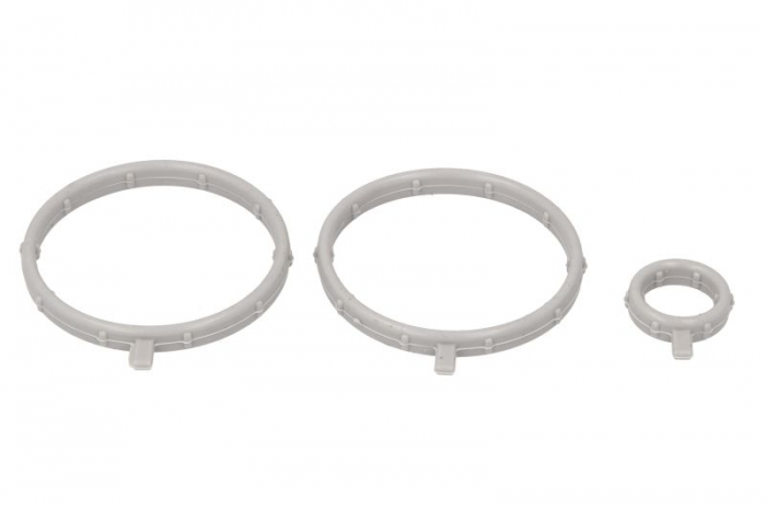 Garnitura carcasa termostat potrivit BMW 3 (G20, G80, G28), 3 (G21, G81), 4 (G22, G82), 4 (G23, G83), 4 GRAN COUPE (G26), 5 (G30, F90), 5 (G31), 5 (G60, G90, G68), 5 (G61, G99) 3.0D 3.0DH 07.17-