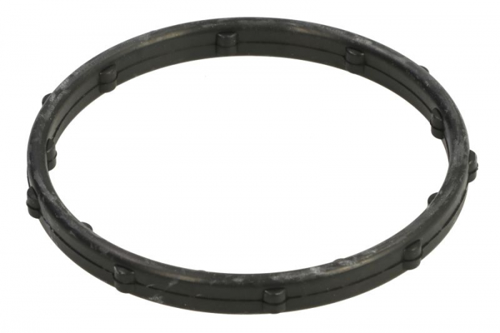 Garnitura carcasa termostat potrivit CHRYSLER 200, 300C, TOWN  COUNTRY, VOYAGER V; DODGE AVENGER, CHALLENGER, CHARGER, DURANGO, GRAND, JOURNEY; FIAT FREEMONT 3.6 3.6ALK 3.6LPG 09.10-