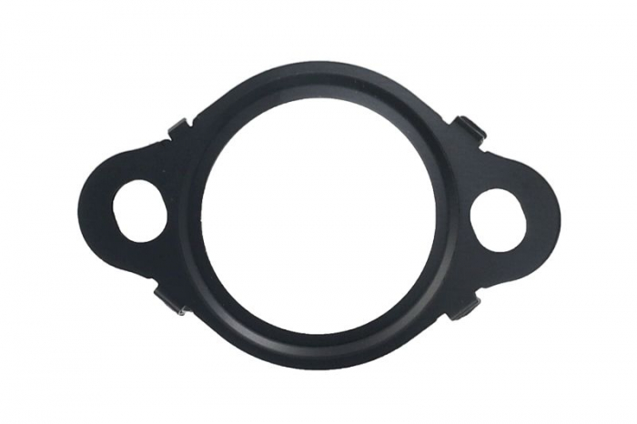 Garnitura EGR potrivit BMW 3 (G20, G80, G28), 3 (G21, G81), 4 (G22, G82), 4 (G23, G83), 4 GRAN COUPE (G26), 5 (G30, F90), 5 (G31), 6 GRAN TURISMO (G32), 7 (G11, G12), 7 (G70) 3.0D 3.0DH 11.15-