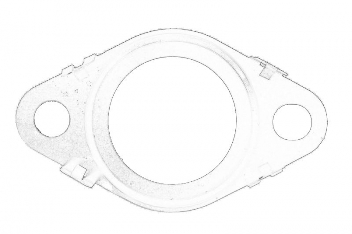 Garnitura EGR potrivit IVECO