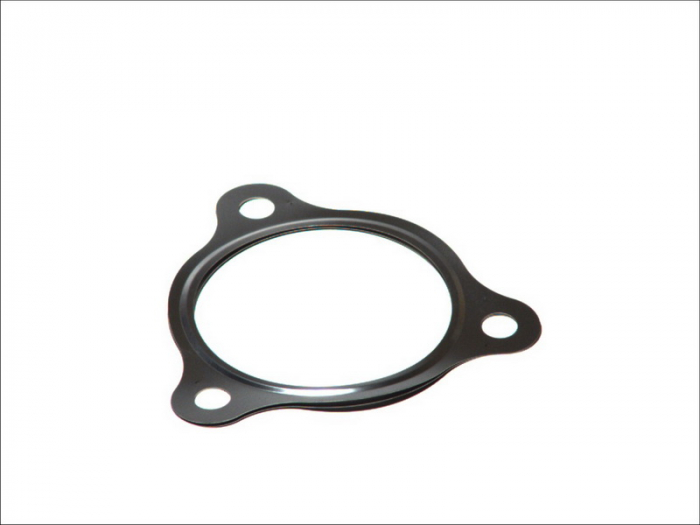 Garnitura galerie admisie AUDI A4, A6, A8, Q7; VW PASSAT, PHAETON 2.5D-6.0D 01.97- [1]