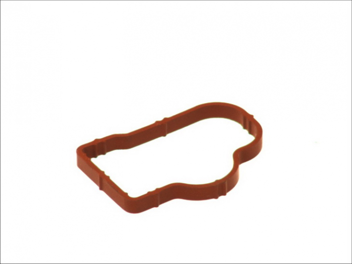 Garnitura galerie admisie OPEL AGILA, ASTRA G, H, COMBO, CORSA C, D, MERIVA, TIGRA 1.0-1.6 09.00- [2]