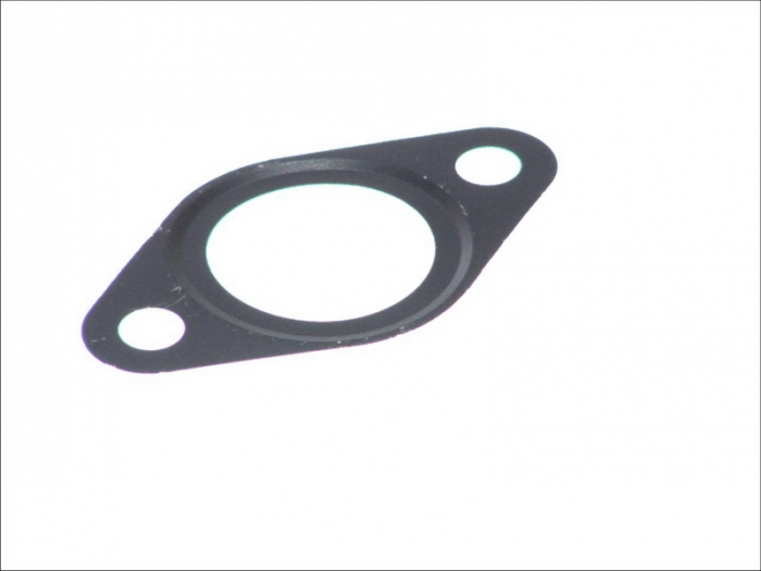 Garnitura galerie evacuare Lema IVECO S2000 EGR (F1AE0481) (X6) [1]
