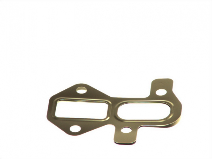 Garnitura galerie evacuare potrivit AUDI A8 D3, Q7 4.2D 01.05-07.10