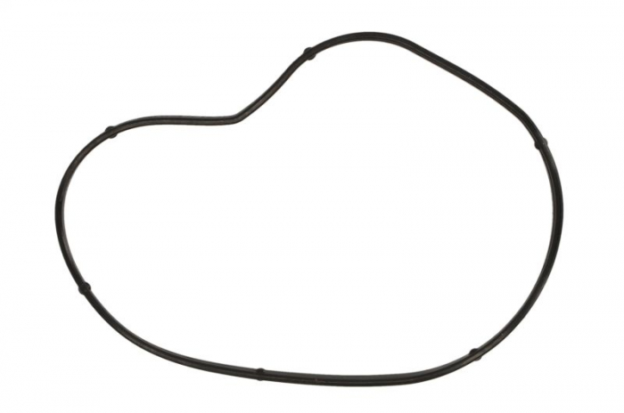 Garnitura pompa apa potrivit BMW 5 (E60), 5 (E61), 6 (E63), 6 (E64), 7 (E65, E66, E67), 7 (F01, F02, F03, F04), X5 (E53), X5 (E70); ROLLS-ROYCE DAWN, GHOST I, PHANTOM VII 3.6-6.75 07.01-