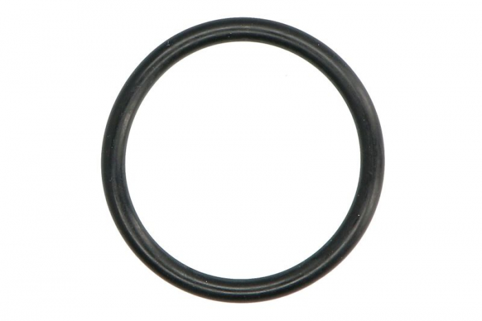 Garnitura pompa apa potrivit FIAT M100, M115, M135, M160; FORD 5640, 6640, 7740, 7840, 8160, 8240, 8260, 8340, 8360, 8560, TM 115, TM 120, TM 125, TM 130, TM 140, TM 150, TM 165; NEW HOLLAND 340 [1]