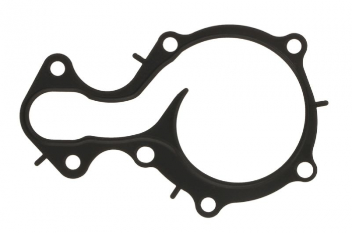 Garnitura pompa apa potrivit FORD B-MAX, C-MAX II, ECOSPORT, FIESTA VI, FIESTA VII, FOCUS III, FOCUS III HATCHBACK, FOCUS III KOMBI, FOCUS IV, GRAND C-MAX, MONDEO V 1.0-1.1LPG 02.12-