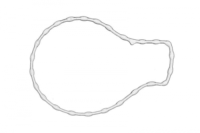 Garnitura pompa apa potrivit TOYOTA AURIS, AVENSIS, COROLLA, RAV 4 III, RAV 4 IV, VERSO, YARIS 1.6 1.8 2.0 11.06-