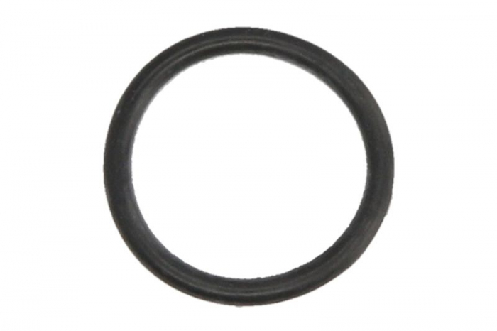 Garnitura pompa combustibil PARSUN F50; F60 [1]