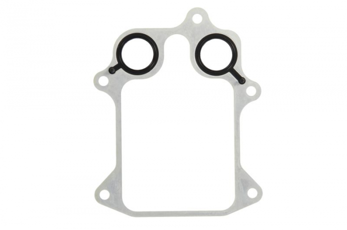 Garnitura radiator ulei potrivit AUDI A1, A3; BYD SEAL, SEAL U; SEAT ALHAMBRA, ALTEA, ALTEA XL, IBIZA IV, IBIZA IV SC, IBIZA IV ST, LEON, TOLEDO III, TOLEDO IV; SKODA FABIA II, OCTAVIA II 1.4-1.6 02.0