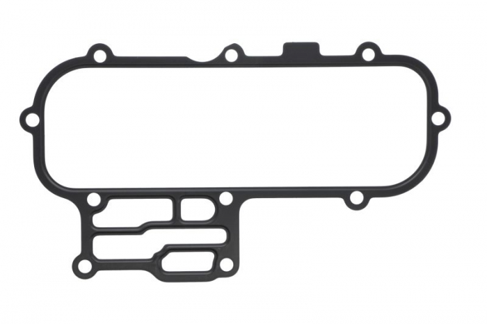 Garnitura radiator ulei potrivit HYUNDAI TERRACAN; KIA BONGO, CARNIVAL I, CARNIVAL II, CARNIVAL III, K2900 2.9D 08.99-