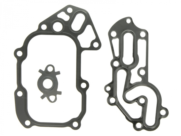 Garnitura radiator ulei (set) potrivit MULTICAR FUMO F1CE0481F 09.06-