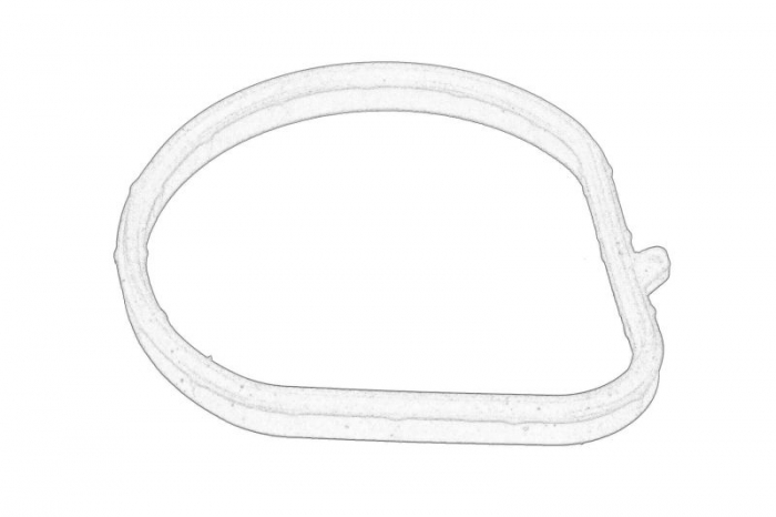 Garnitura/Simering carcasa termostat potrivit NISSAN NV400; OPEL MOVANO B; RENAULT ALASKAN, GRAND SCENIC III, KOLEOS II, MASTER III, MEGANE, MEGANE III, SCENIC III, TRAFIC II 2.0D/2.3D 08.06- [1]