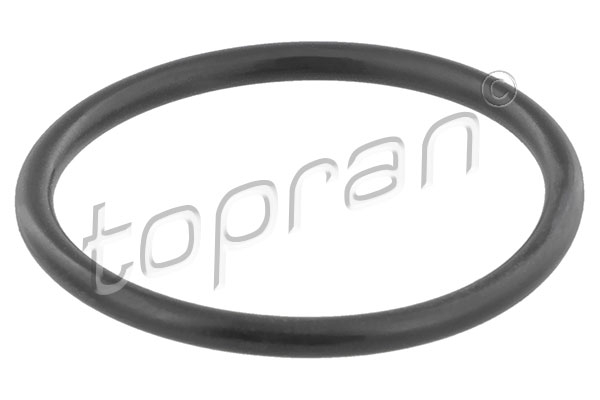 Garnitura/Simering carcasa termostat potrivita OPEL ASCONA C, ASTRA F, ASTRA F/KOMBI, ASTRA G, ASTRA G/KOMBI, CALIBRA A, FRONTERA A SPORT, KADETT E, KADETT E COMBO 1.6-2.0 1981-2005 [2]