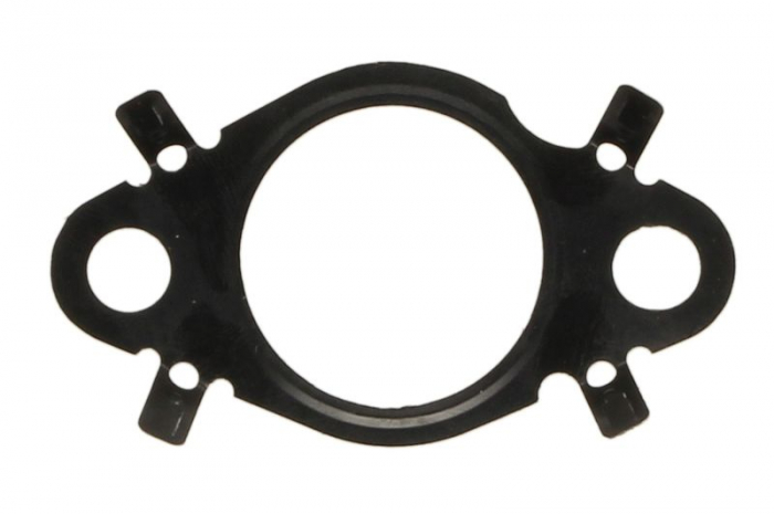 Garnitura Supapa EGR potrivit FIAT TALENTO; NISSAN NV300; OPEL VIVARO B; RENAULT ESPACE V, GRAND SCENIC IV, MEGANE IV, SCENIC IV, TALISMAN, TRAFIC III 1.6D 05.14-