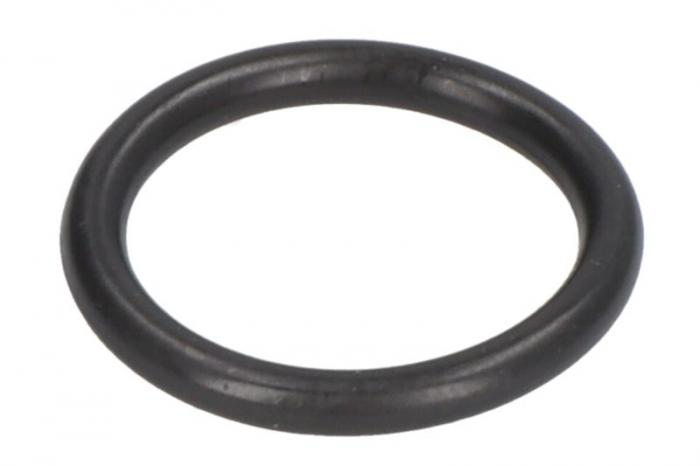Garnitura Supapa EGR potrivit IVECO [1]
