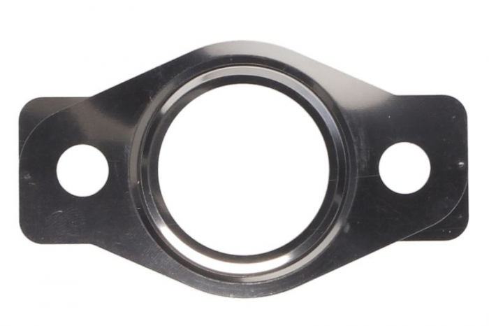 Garnitura Supapa EGR potrivit RVI MASCOTT; NISSAN CABSTAR, INTERSTAR, NT400 CABSTAR, PATROL GR V, TERRANO II, ATLEON, NT500; OPEL MOVANO A; RENAULT MASTER II, MASTER PRO 3.0D 10.97-